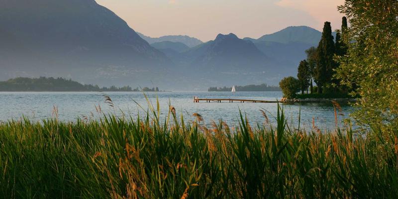 2024年软件开发必备：免费工具与资源全评测