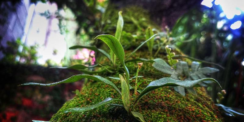 从NFV到云原生网络：前端、后端与设计素材的融合演进