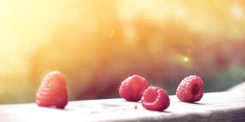 前端开发必备：精选设计素材与高效资源分享指南