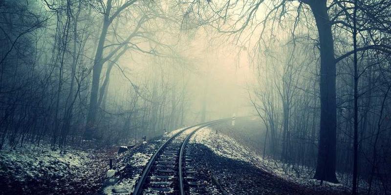 掌握网络技术优势：从编程教程到软件开发的实战指南