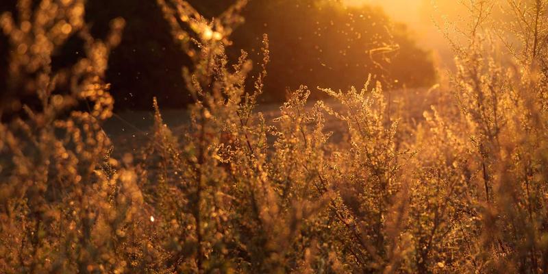 网络切片技术赋能5G专网：为垂直行业定制化网络服务的开发实践与免费工具