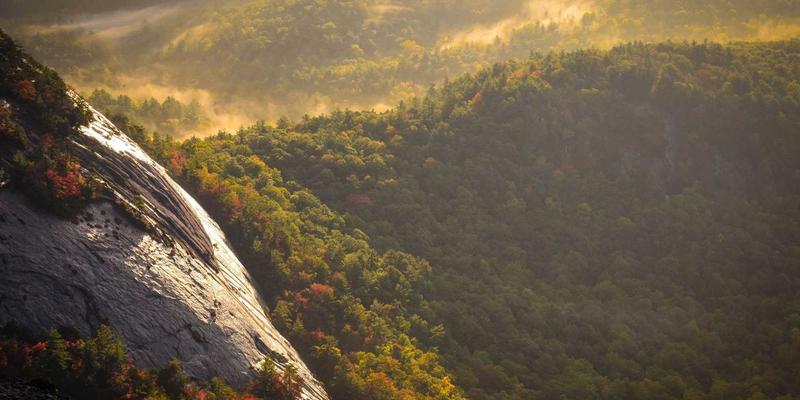 网络技术28：精选免费工具赋能设计素材与软件开发