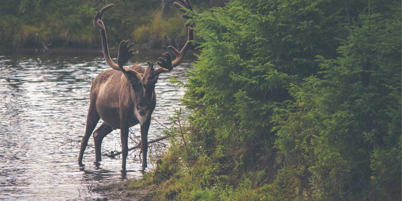 网络技术32：解码现代后端开发的核心架构与演进趋势