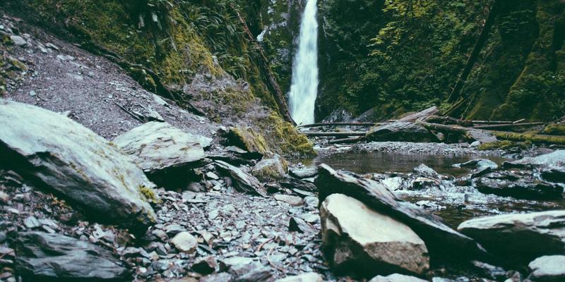 网络技术51：编程教程、资源分享与免费工具全攻略