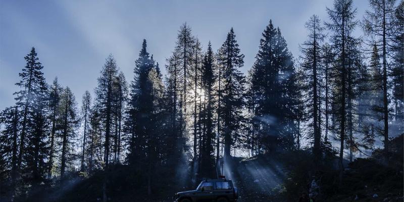 网络技术52：前端开发者的设计素材与资源分享全攻略