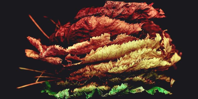 网络技术62:从编程教程到软件开发实战的进阶资源全分享