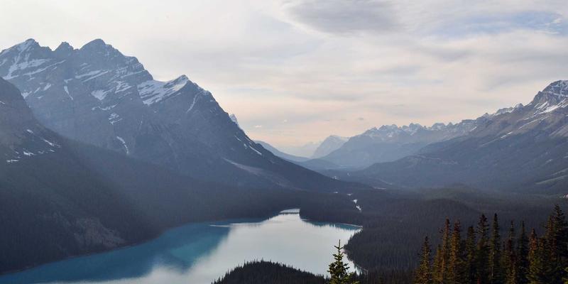 网络技术69：后端开发者必备的免费工具与资源全解析