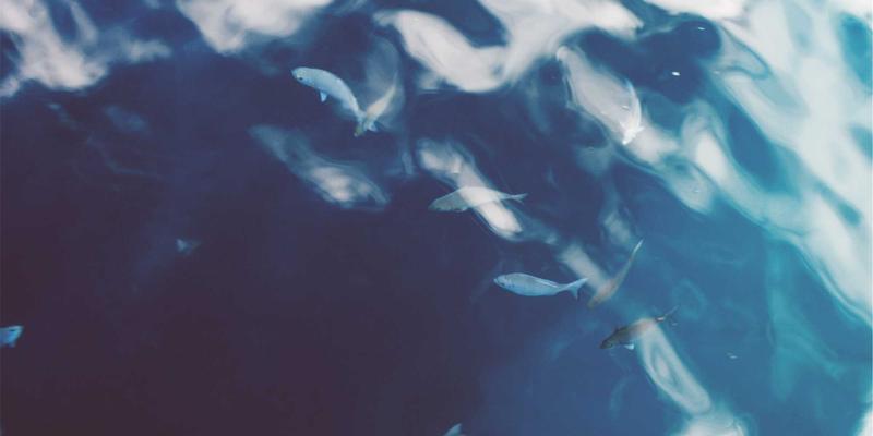 网络技术87：精选免费工具与素材，赋能前端开发与设计