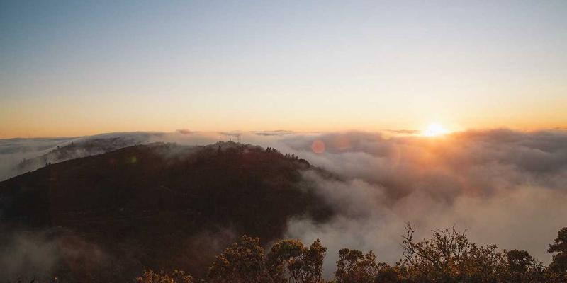 网络技术89：解锁免费工具与资源分享的新境界
