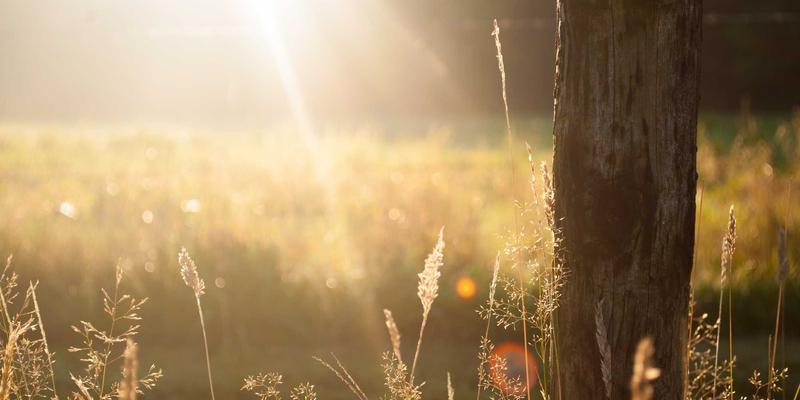 网络技术98：编程教程、设计素材与免费工具一站式资源指南