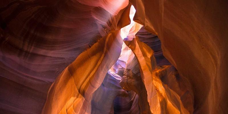 网络技术入门指南：软件开发、设计素材与资源分享全解析