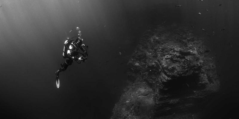 设计素材与前端开发的融合：网络技术应用的新范式
