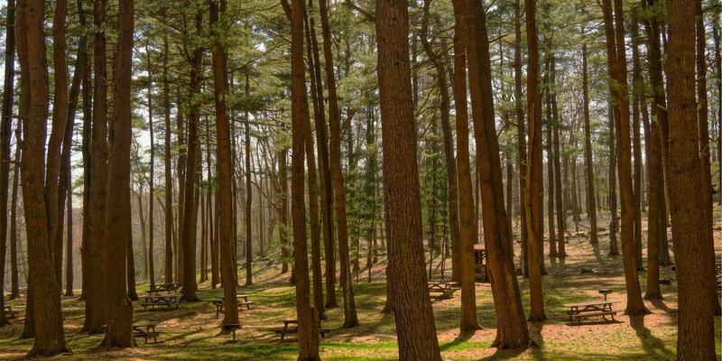 软件定义广域网（SD-WAN）实战：利用免费工具与开发思维优化多云连接成本与性能